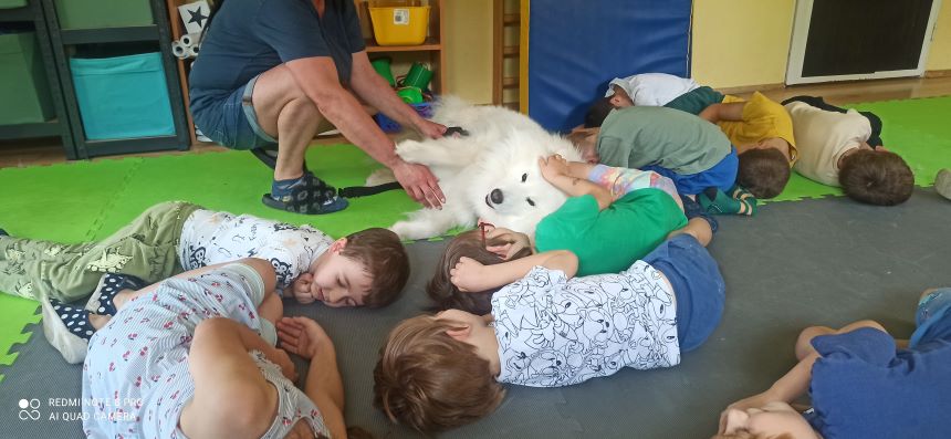 DOGOTERAPIA